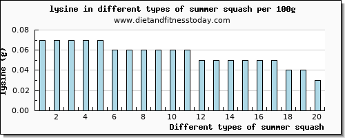 summer squash lysine per 100g